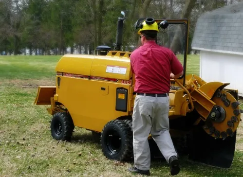 Completed stump grinding job in an Oakland County yard