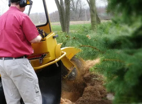 Clean stump removal with no turf damage